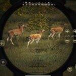 تحميل لعبة Way of the Hunter: Wild Europe كاملة برابط مباشر لأندرويد